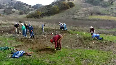 Volunteers hard at work prepping one of our grass and plant restoration sites in Shell Ridge Volunteers hard at work prepping one of our grass and plant restoration sites in Shell Ridge