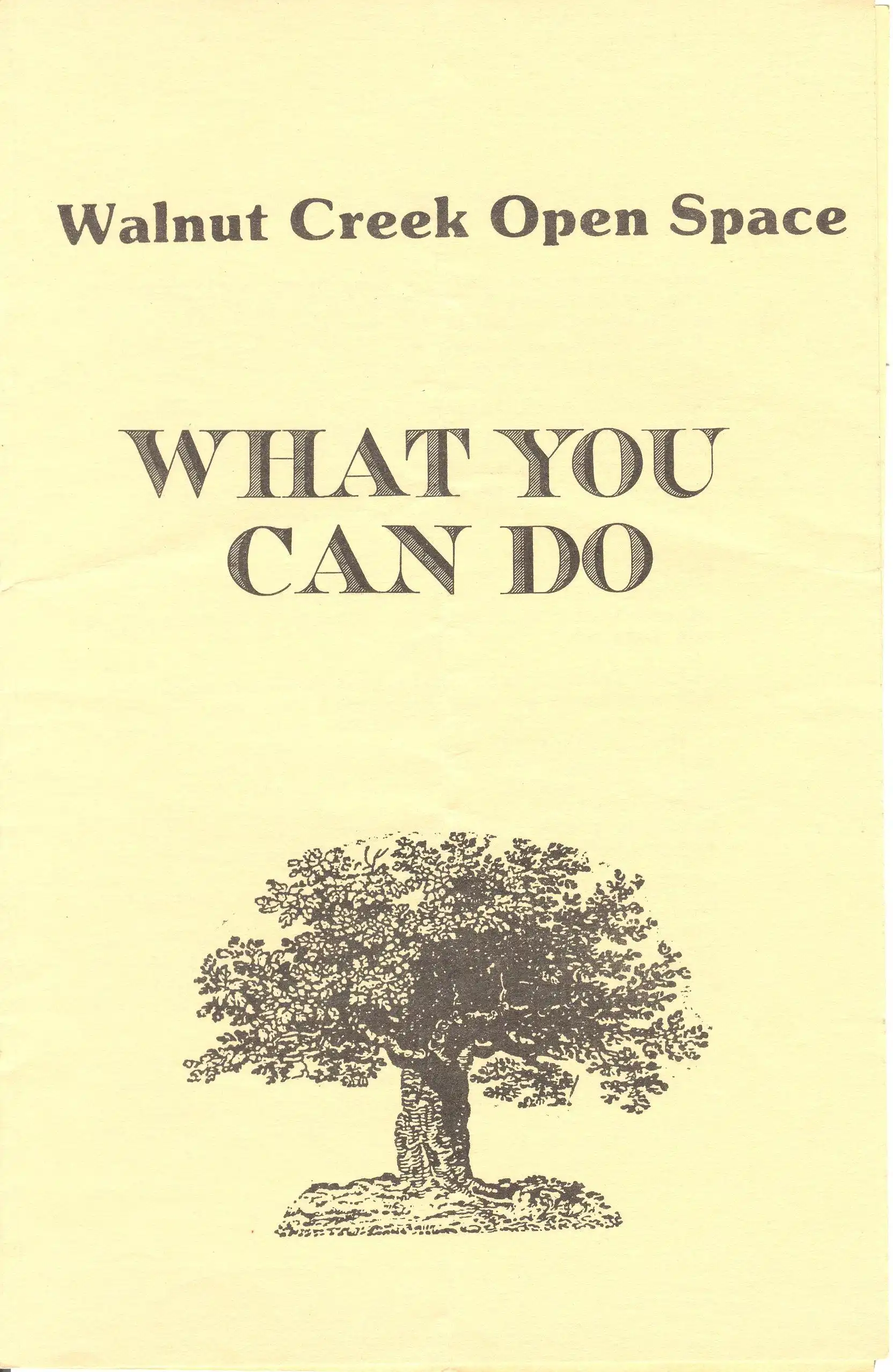 Brochure cover from early years of the Foundation. Brochure cover from early years of the Foundation.