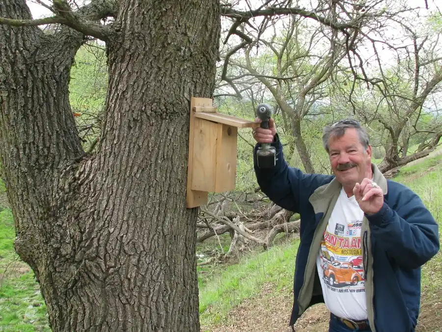 Bringing Bluebirds Back to our Open Space Bringing Bluebirds Back to our Open Space