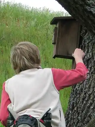 Bringing Bluebirds Back to our Open Space Bringing Bluebirds Back to our Open Space
